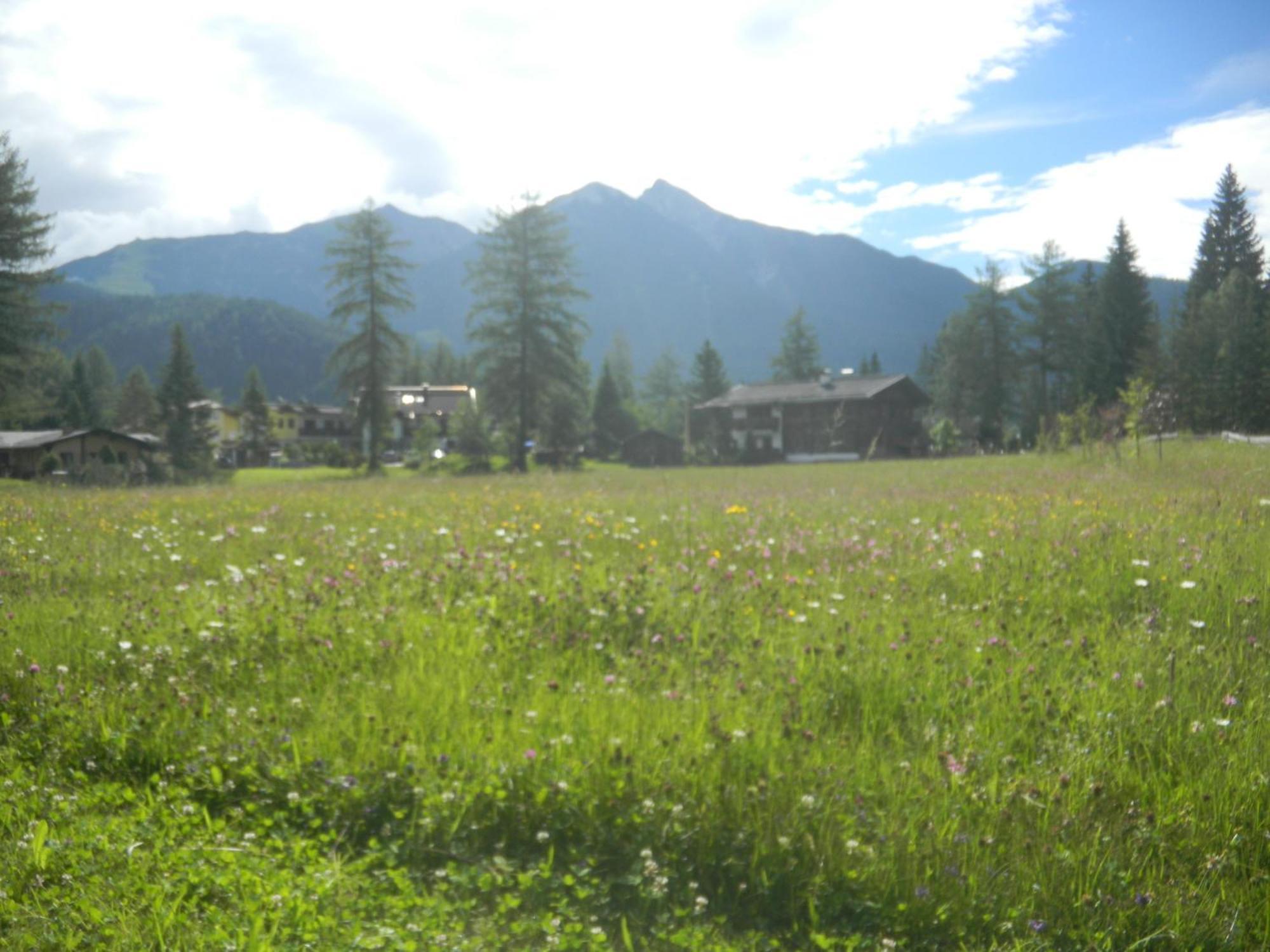 Landhaus Charlotte Am Geigenbuehel -Apartments Seefeld in Tirol Esterno foto